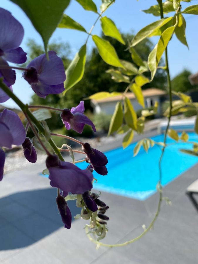 Les Rives Des Habsbourg Aparthotel Ensisheim Exterior photo